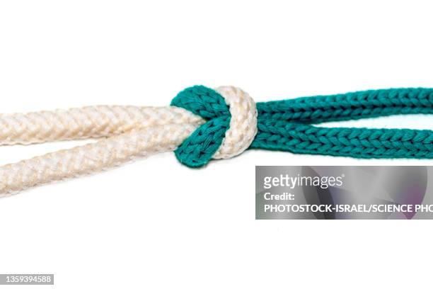 reef knot - noose stock pictures, royalty-free photos & images
