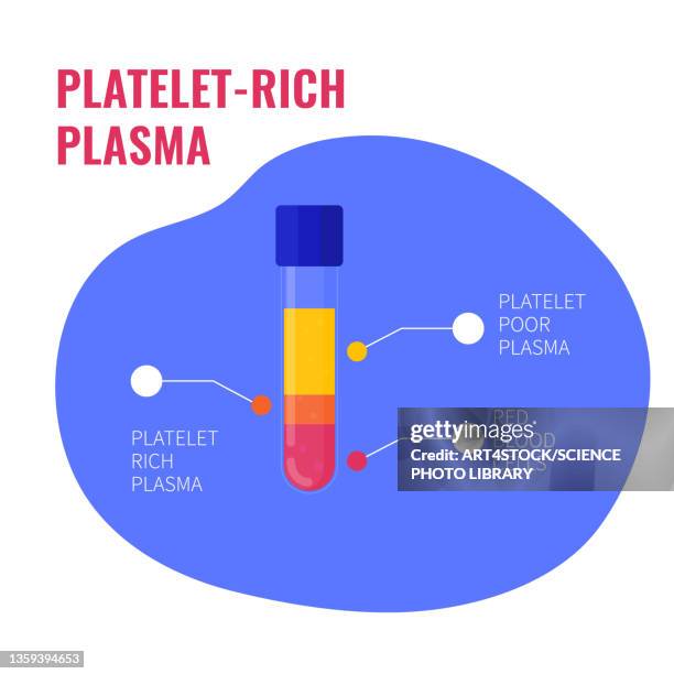 platelet-rich plasma composition, conceptual illustration - platelet rich plasma stock illustrations