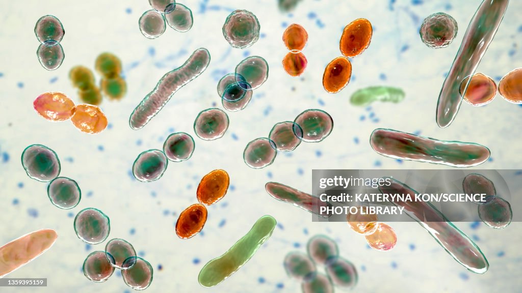 Bacteria of different shapes, illustration