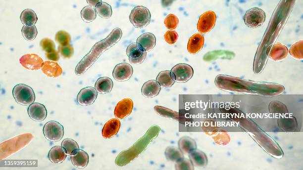 bacteria of different shapes, illustration - infectious disease illustration stock illustrations