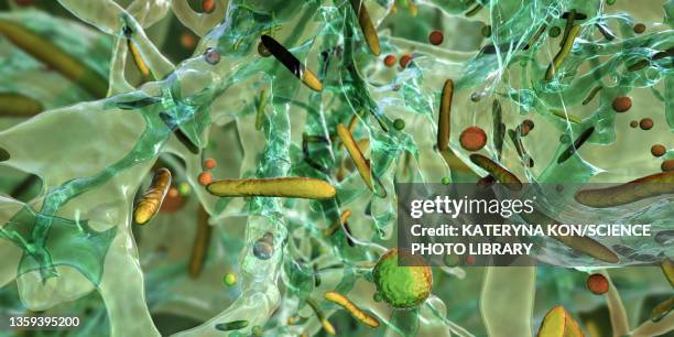 bacteria in a biofilm, illustration - slimy stock illustrations