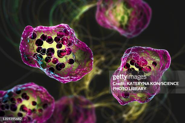 measles virus infection, illustration - rna virus stockfoto's en -beelden