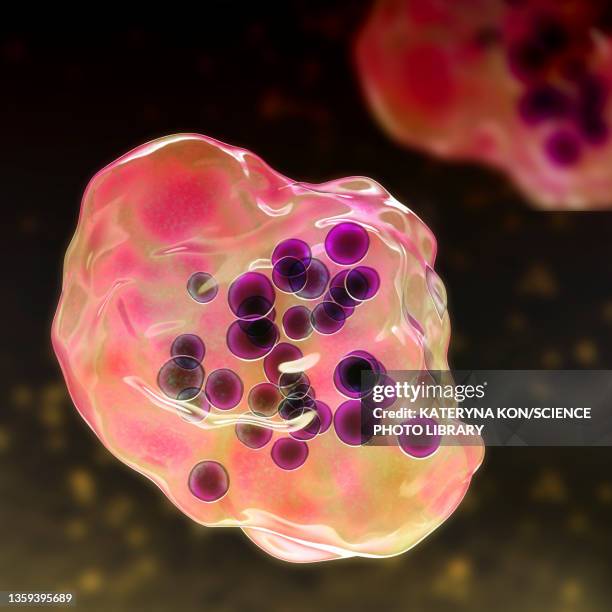 measles virus infection, illustration - rna virus 個照片及圖片檔