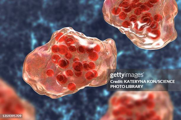 measles virus infection, illustration - measles stock pictures, royalty-free photos & images