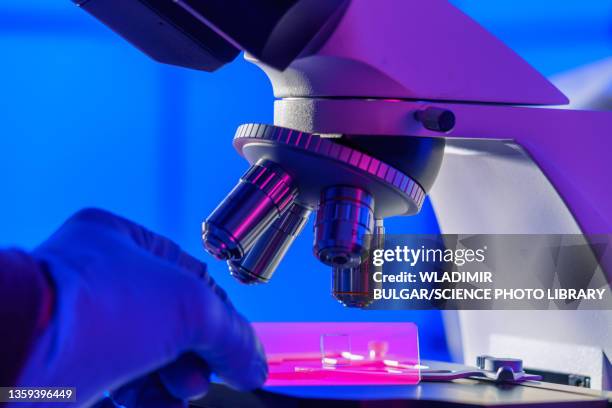 researcher using a microscope - microscopio foto e immagini stock
