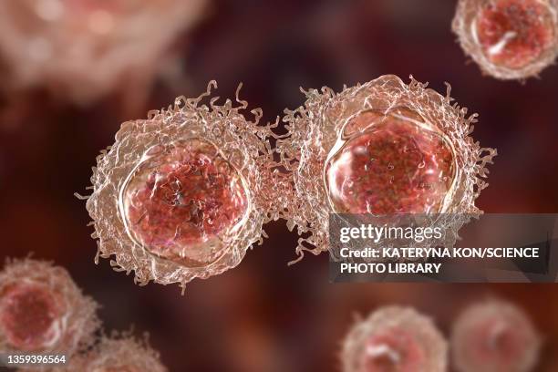 High Resolution Cancer Cancer Cells Illustration High-Res Vector Graphic - Getty Images