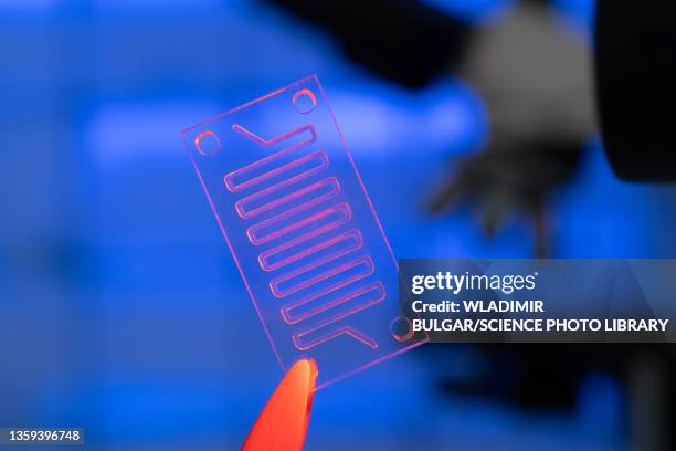 microfluidic device - prototype stock pictures, royalty-free photos & images