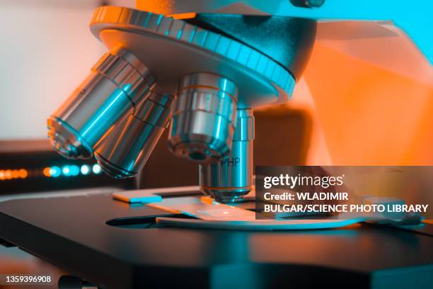 microscope lens - microscope stock pictures, royalty-free photos & images