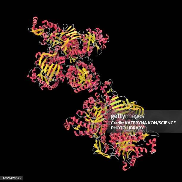 beta-hexosaminidase a enzyme, illustration - enzyme stock illustrations