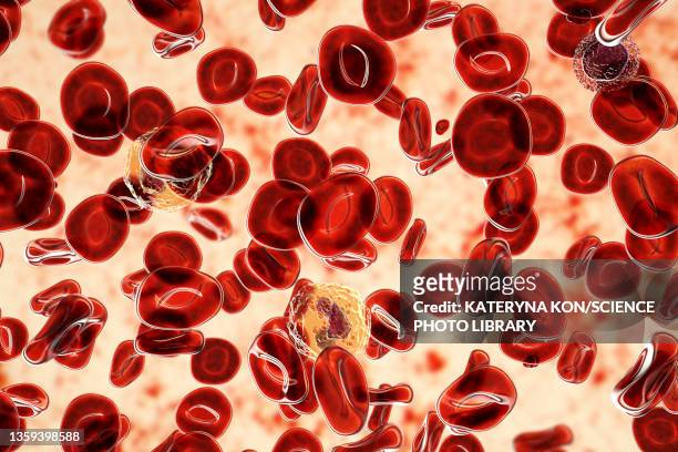 polycythemia vera, illustration - bloed stock illustrations
