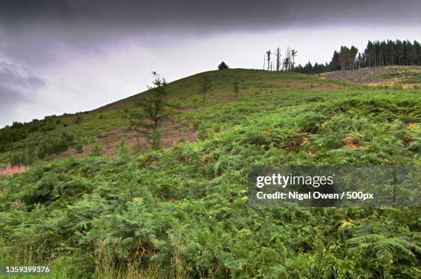 steep hill,scenic view of field against sky,clydach vale country park,united kingdom,uk - clydach stock pictures, royalty-free photos & images