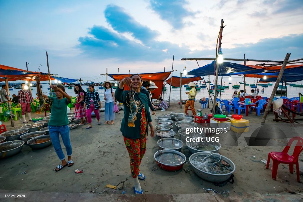 Fish traders in the port city of PhanThiet, Vietnam.