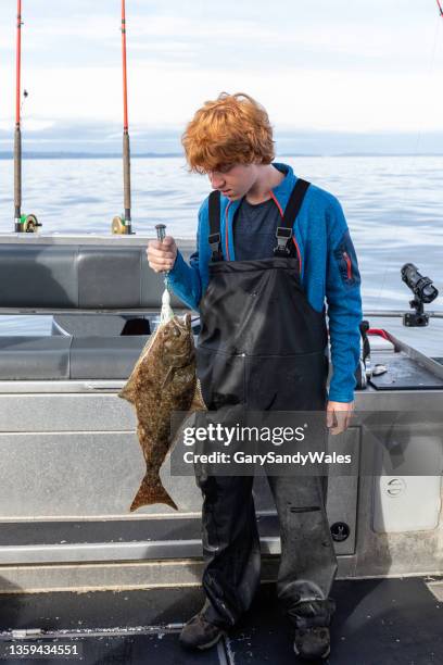 young fisherman curiously examining a halibut he just caught. haida gwaii (queen charlotte islands), graham island, british columbia, canada. - teen soles stock pictures, royalty-free photos & images