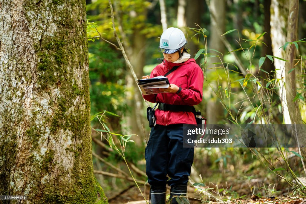 Young female researcher or environmentalist with data gathering equipment in the forest