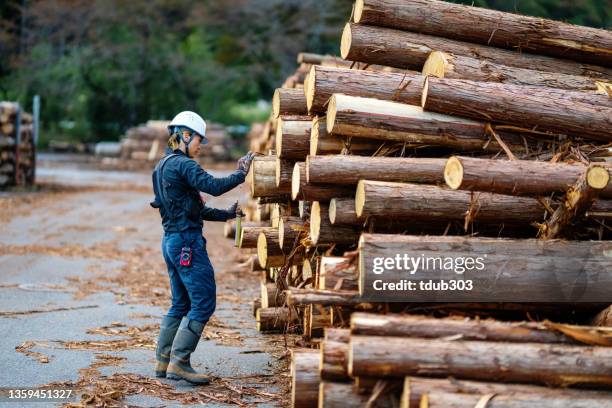 forester adulto médio medindo madeira caída e registrando os dados em uma instalação de triagem de madeira - lumber industry - fotografias e filmes do acervo