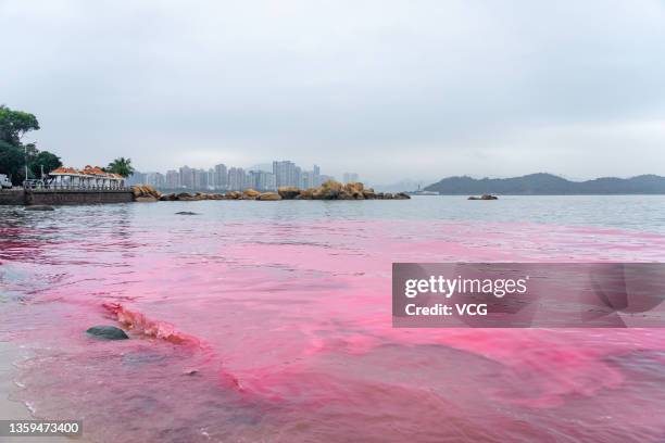 Red Ride Ocean Red Tide Ocean Photos and Premium High Res Pictures - Getty Images