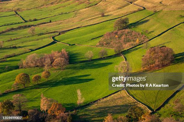 long shadows on a hillside in the vale of edale, peak district on an autumn morning. - pennines stockfoto's en -beelden