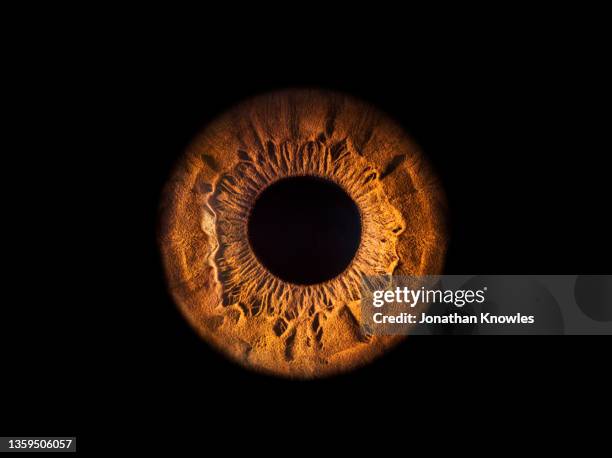 close up brown eye on black background - iris eye fotografías e imágenes de stock