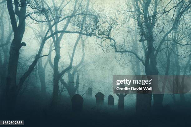a horror concept of a spooky graveyard in a scary forest in winter, with the trees silhouetted by fog. with a muted, grunge edit. - erschrocken stock-fotos und bilder