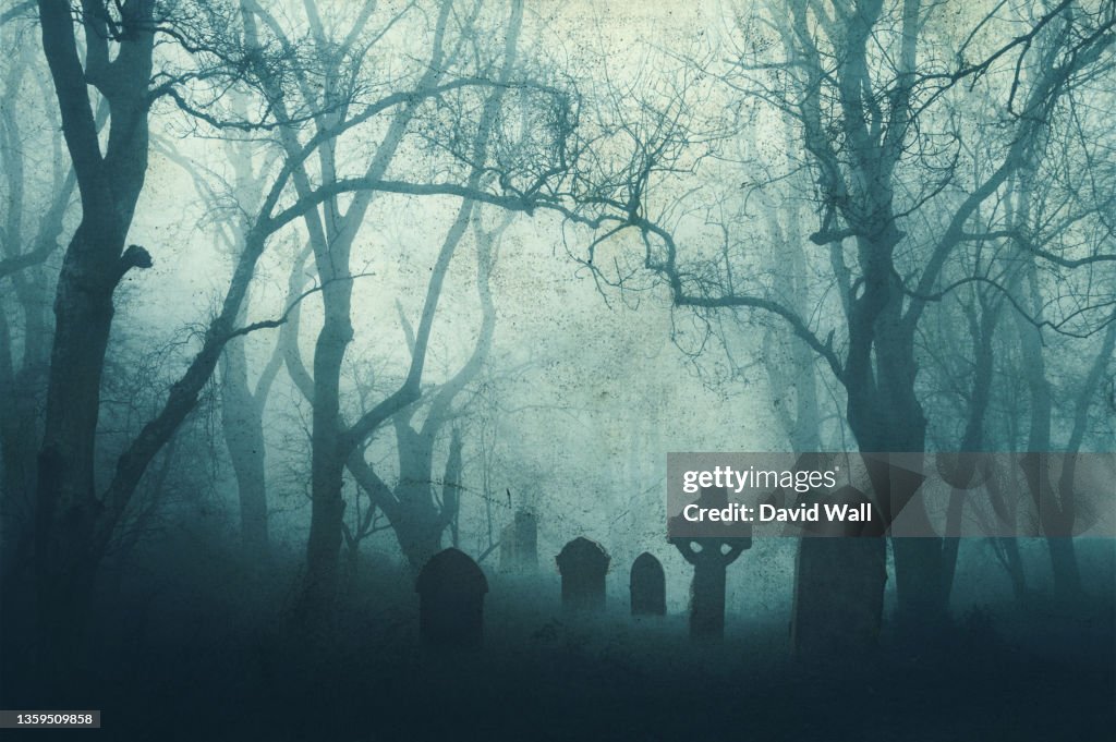 A horror concept of a spooky graveyard in a scary forest in winter, with the trees silhouetted by fog. With a muted, grunge edit.