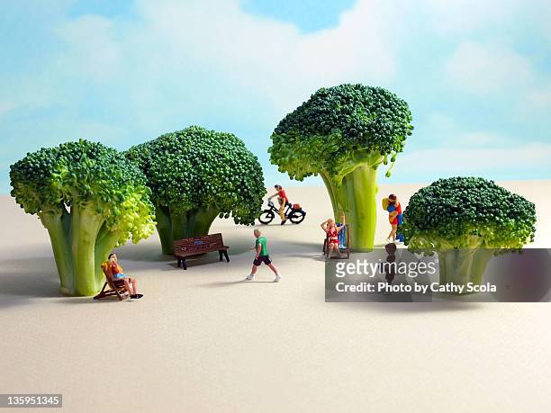 miniature park with broccoli trees - pequeño fotografías e imágenes de stock