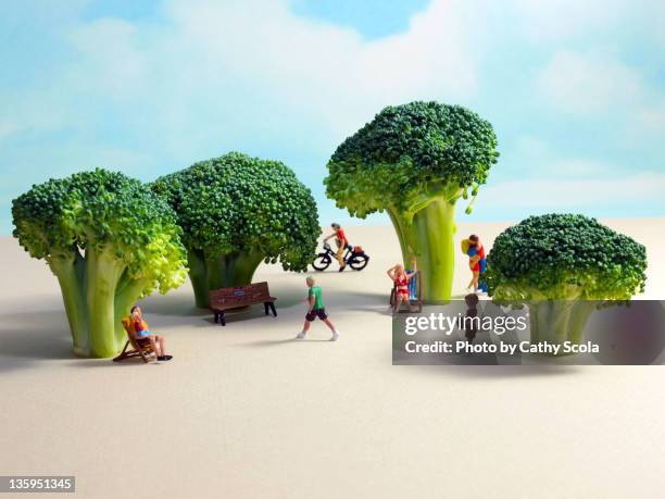 miniature park with broccoli trees - figurine ストックフォトと画像