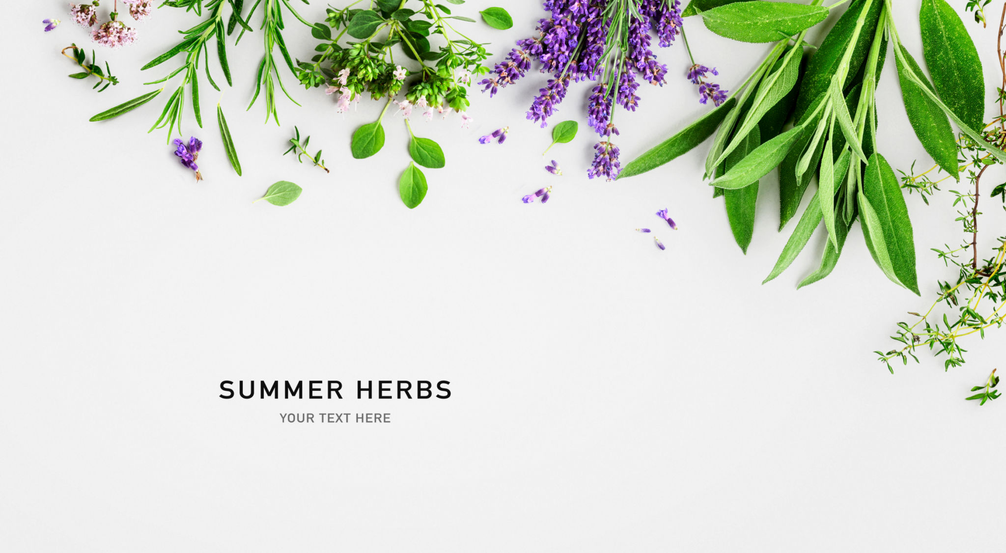 herbs flowers decoration