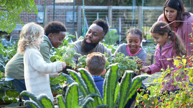 https://media.gettyimages.com/id/1359530991/video/man-teaching-children-about-plants-in-community-garden.jpg?b=1&s=640x640&k=20&c=p6hw7dSxeu11TQrsPYt7ZWUOQtisXC-kUFSqPYhVdEk=