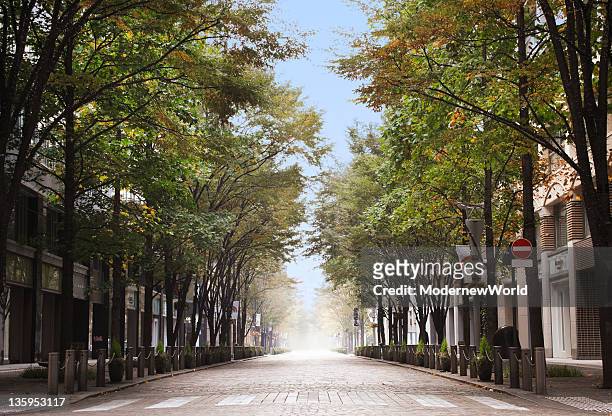 the avenue in tokyo - chiyoda stockfoto's en -beelden