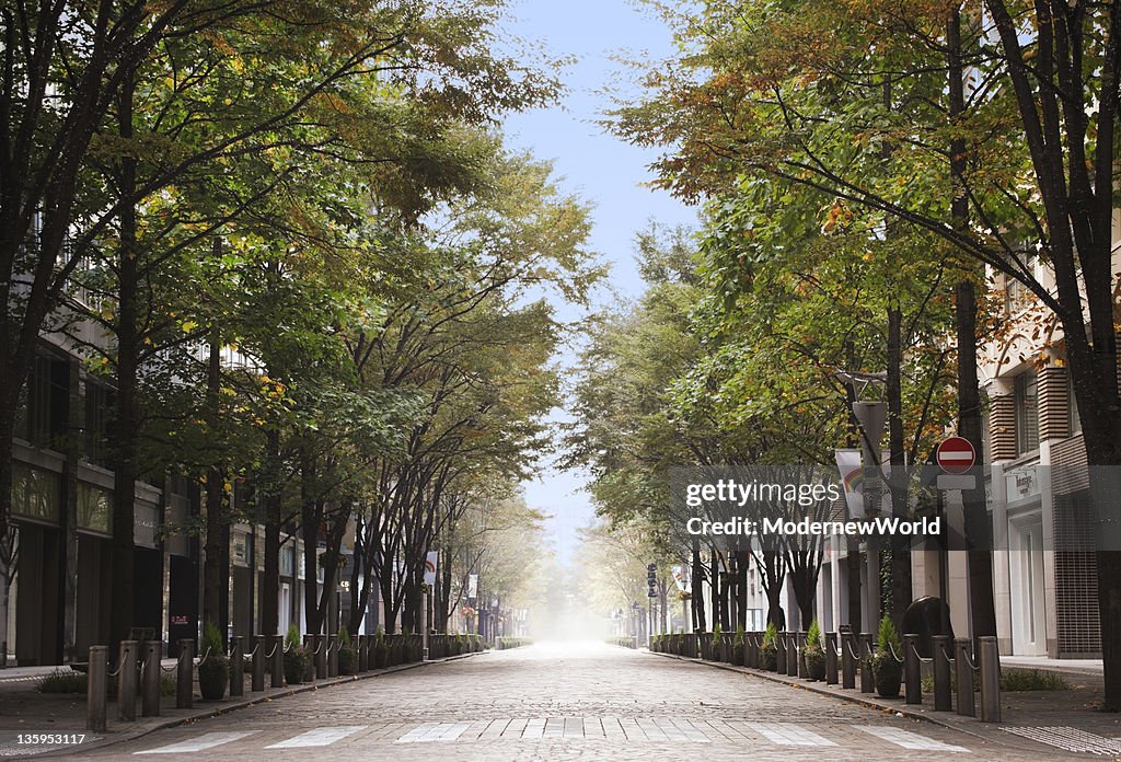 The avenue in Tokyo