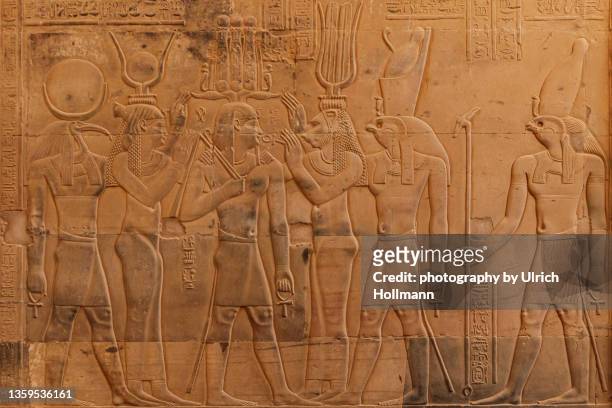 relief sculpture at kom ombo temple, aswan, egypt - un animal stock pictures, royalty-free photos & images