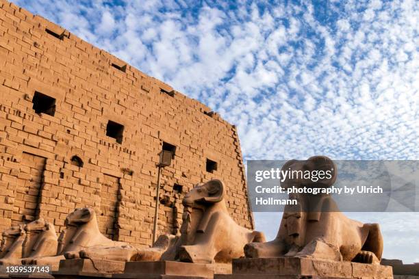 ram headed sphinxes at entrance of karnak temple, luxor, egypt - temples de karnak photos et images de collection