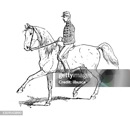Antique illustration: Passade (horse riding) Antique illustration: Passade (horse riding)