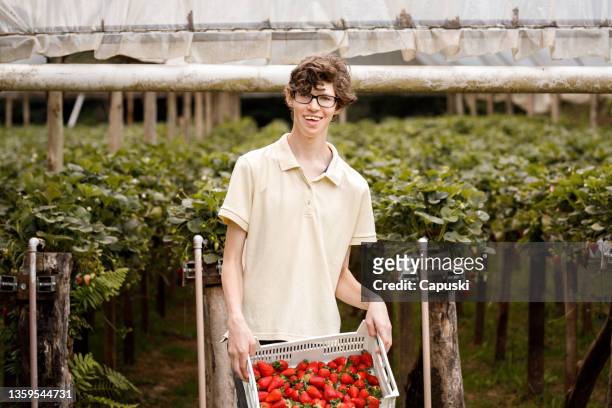 junge mit zerebralparese zeigt eine kiste voller geernteter bio-erdbeeren - developmental disability stock-fotos und bilder