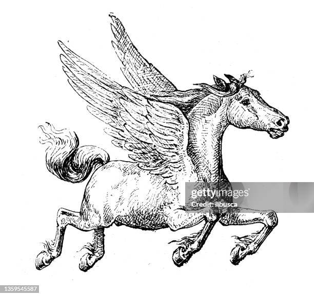 antique illustration: pegasus - pegasus stock illustrations