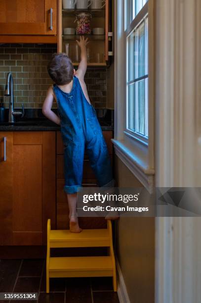 boy on a step stool reaching for a jar of lollipops - step stool imagens e fotografias de stock