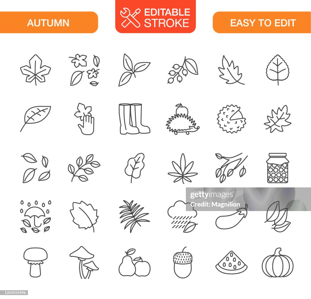 Autumn Line Icons Set. Editable Stroke.