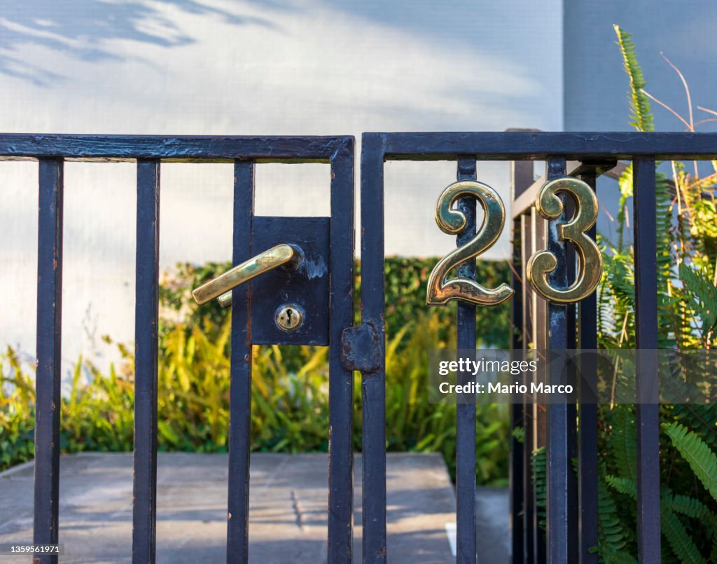 Number 23