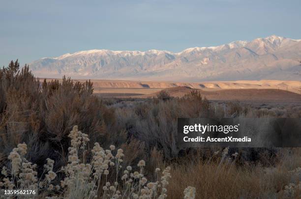 vue panoramique sur le paysage désertique au début de l’hiver - bishop californie photos et images de collection