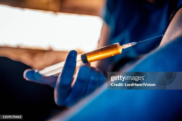 heroin user - horse doping stock pictures, royalty-free photos & images