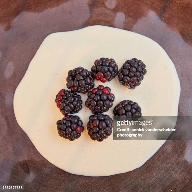 vanilla crème anglaise and black raspberry - crème anglaise stock-fotos und bilder