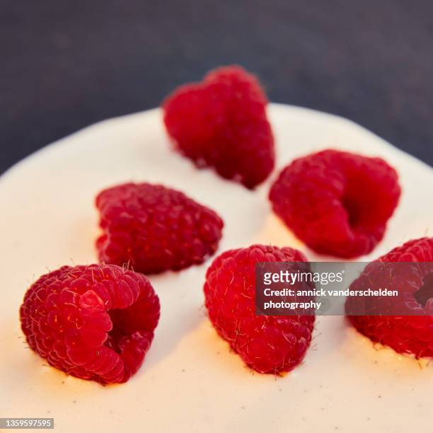 vanilla crème anglaise and raspberries - crème anglaise stock-fotos und bilder