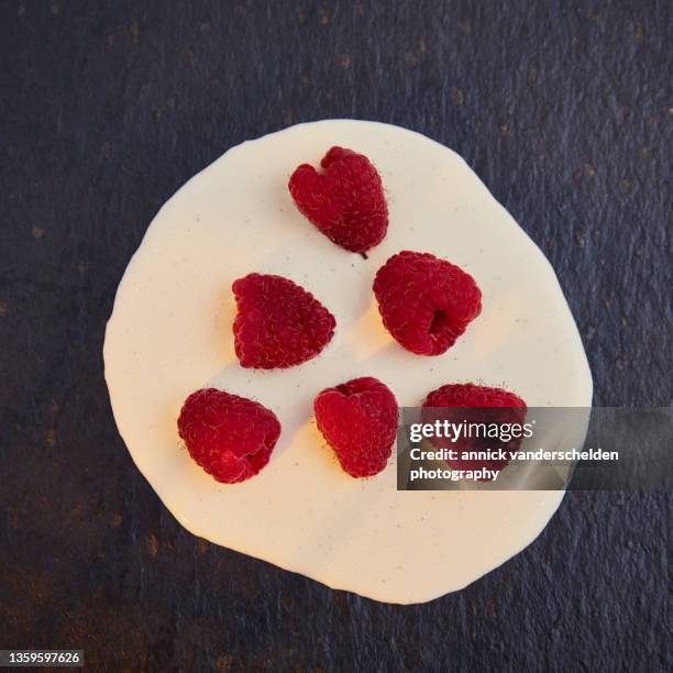 vanilla crème anglaise and raspberries - crème anglaise stock-fotos und bilder