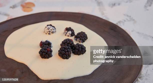 vanilla crème anglaise and black raspberry - crème anglaise stock-fotos und bilder