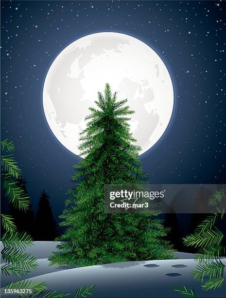 pine tree in the moonlight - pine forest stock illustrations