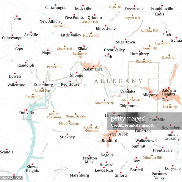 stockillustraties, clipart, cartoons en iconen met ny cattaraugus allegany vector road map - salamanca