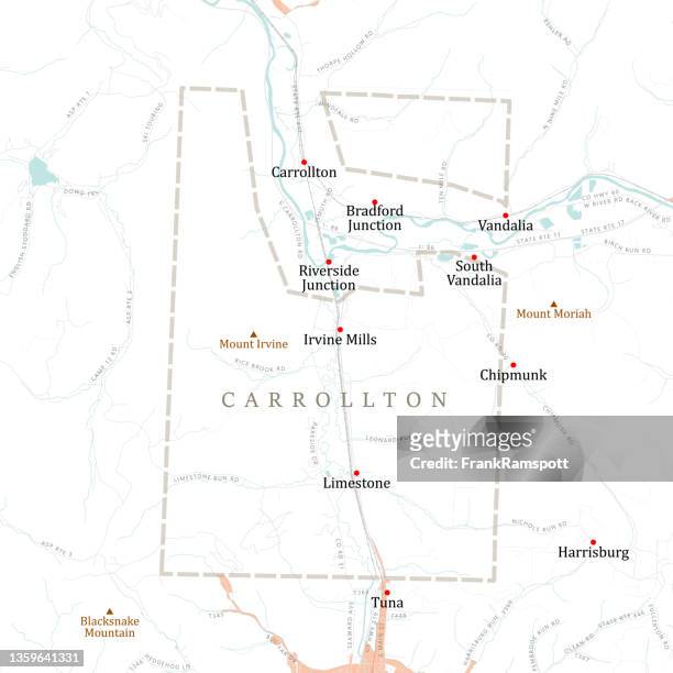 ny cattaraugus carrollton vector road map - chipmunk stock illustrations
