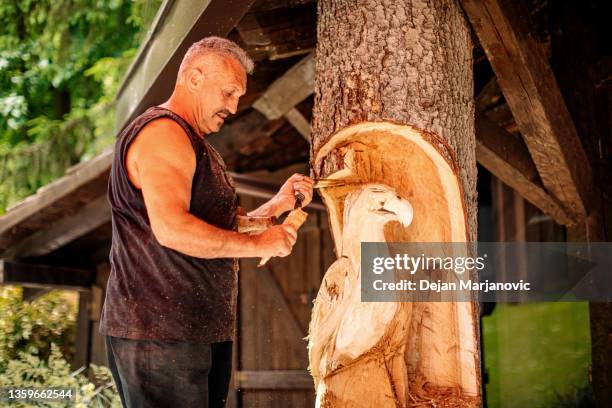 making totem in a tree - park man made space stock pictures, royalty-free photos & images