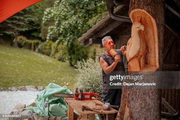 making totem in a tree - park man made space stock pictures, royalty-free photos & images
