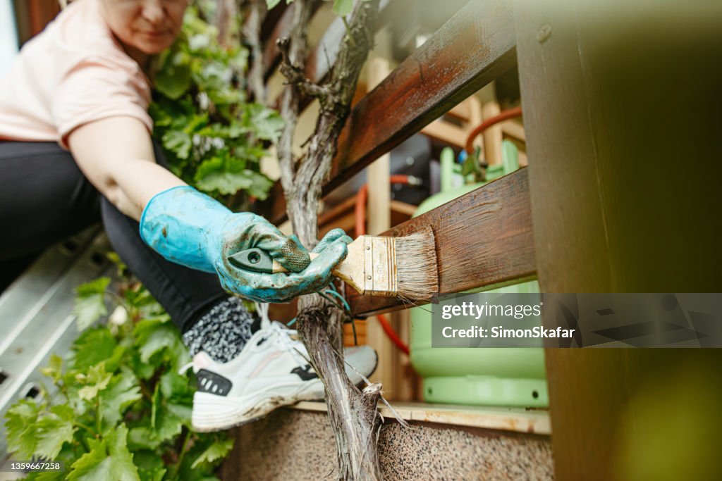 Adult Woman painting difficult to reach part of a wood balcony fence with a big brush